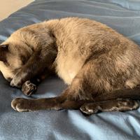 uat-周期购 1-7岁